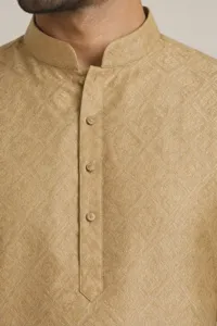 Ishaan gold kurta set