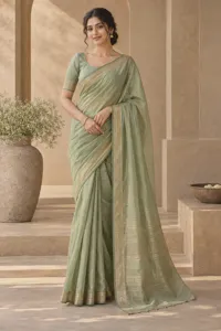 Mehr Chanderi saree